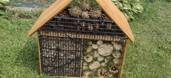 Uczeń ze Strachociny stworzył wyjątkowy domek dla owadów (ZDJĘCIA)