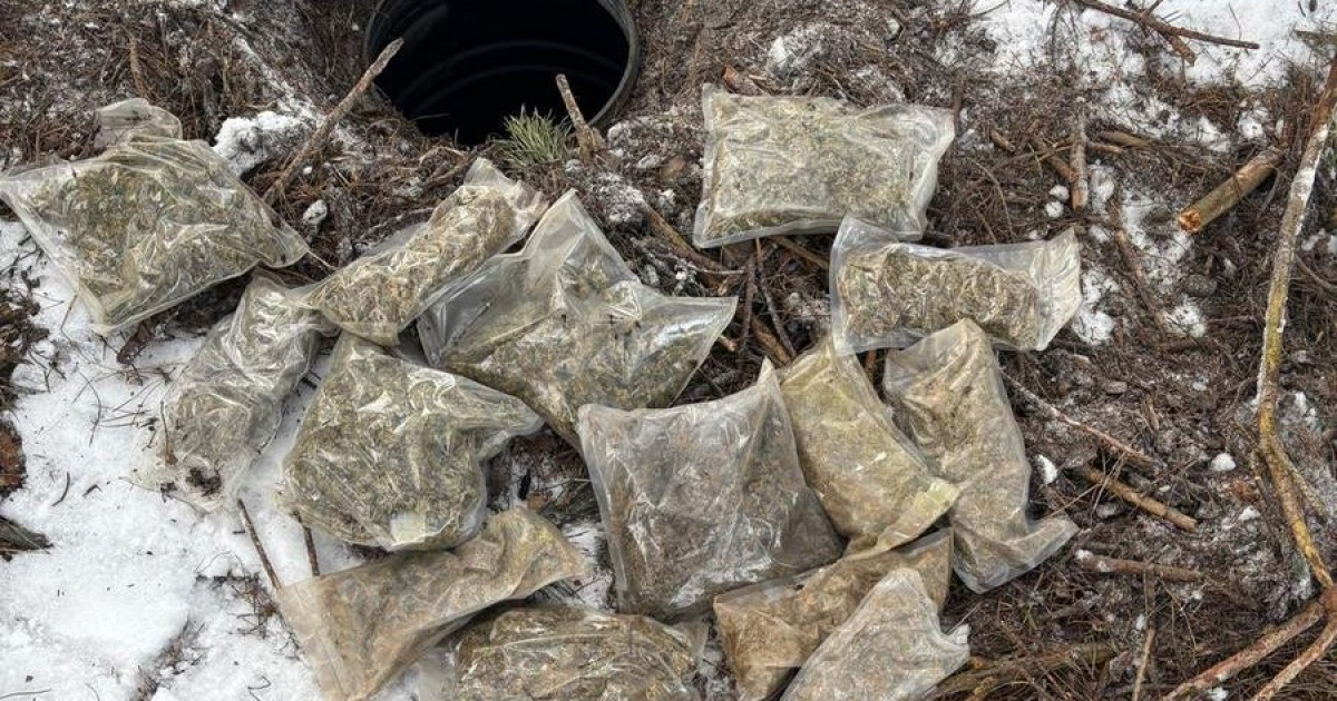 KOLBUSZOWA: Policja zabezpieczyła blisko 3,5 kg narkotyków. 27-latek trafił do aresztu [ZDJĘCIA]