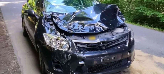 MRZYGŁÓD. Toyota zderzyła się z jeleniem. Uważajmy na dzikie zwierzęta na drodze!