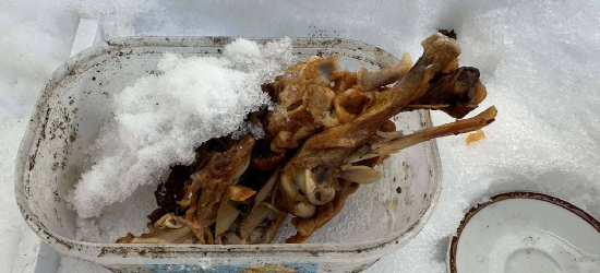 „Kulinarna stołówka” przy ZUS w Brzozowie – DOŚĆ! Stanowczy apel o odpowiedzialność