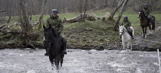 Święto koni oraz szkolenie kandydatów na jeźdźców (VIDEO, FOTO)