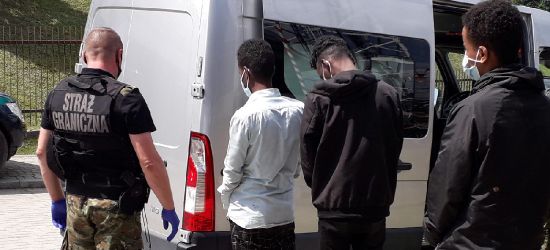 Siedmiu nielegalnych migrantów z Afryki zatrzymanych w Bieszczadach
