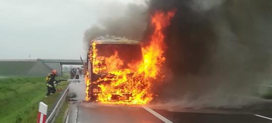 Spłonął autobus. Podróżowało nim 46 osób (VIDEO, FOTO)
