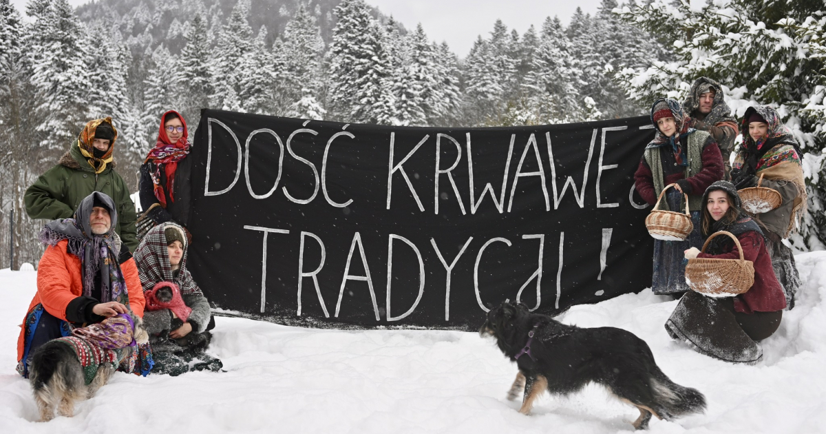 „Pozwólmy Puszczy być sobą”. O co walczy Inicjatywa Dzikie Karpaty?