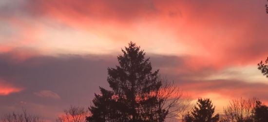 SANOK: Wasze wyjątkowe wschody słońca. Niebo w czerwono-purpurowych barwach (ZDJĘCIA)