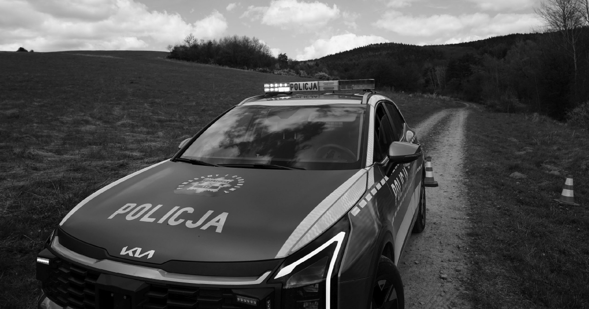 TRAGEDIA W GMINIE BUKOWSKO: Śmiertelny atak niedźwiedzia w Płonnej. Nie żyje 58-letnia kobieta [VIDEO, ZDJĘCIA]