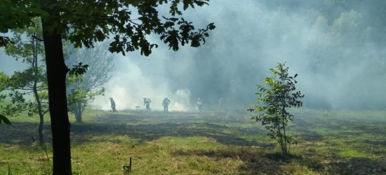 Pożar traw w Malinówce. Policja apeluje o rozwagę [ZDJĘCIA]