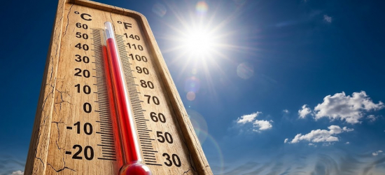 Uwaga na wysokie temperatury! Ważny apel policji [VIDEO]