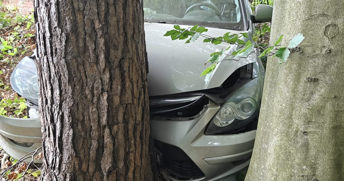 WOŁKOWYJA: Samochód zjechał w leśną drogę i uderzył w drzewo! [FOTO]