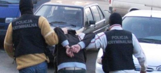 Funkcjonariusze zabezpieczyli pół kilograma amfetaminy