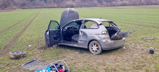 Stracił panowanie nad pojazdem. Wypadł z drogi (FOTO)