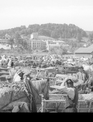 Dawny Sanok w obiektywie. Podróż w czasie na archiwalnych fotografiach