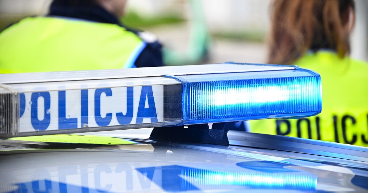 ZAGÓRZ. Czworonóg na jezdni stwarzał zagrożenie. Interweniowała policja