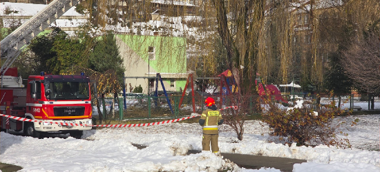 SANOK PO ATAKU ZIMY: Setki interwencji strażaków, drzewa łamały się masowo [VIDEO]