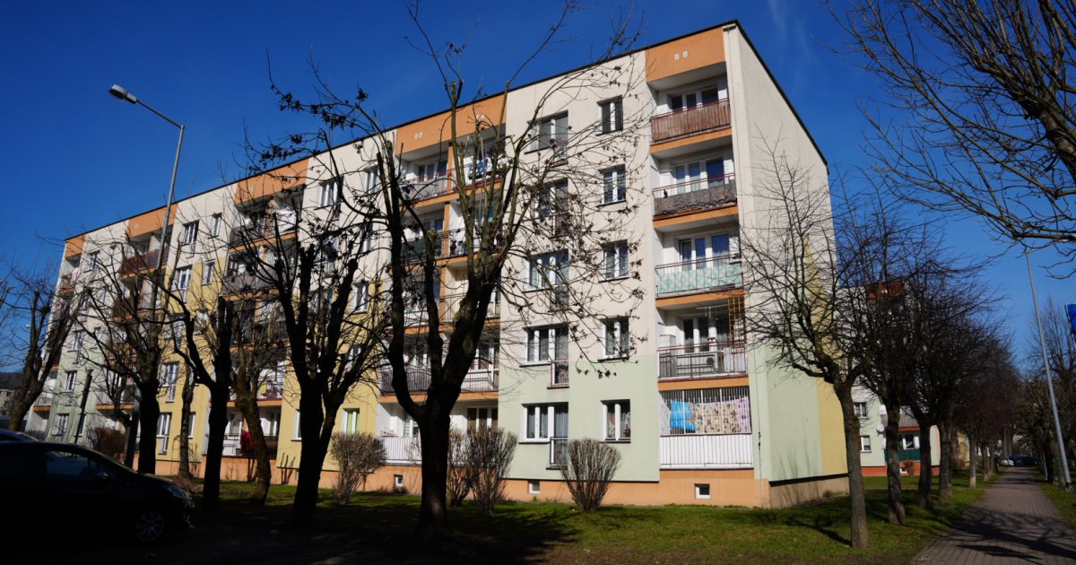 SANOK: Pielęgnacja 186 drzew na terenie miasta. Gdzie zaplanowano prace?