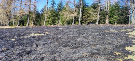 BIESZCZADY: Było niebezpiecznie! Pożar zatrzymany na granicy lasu! (FOTO)