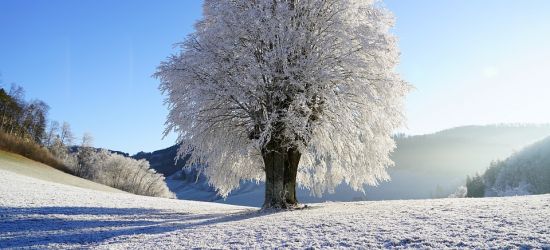 Czy w regionie spadnie śnieg? Ostrzeżenie przed opadami!