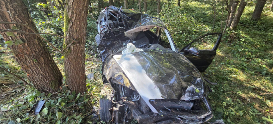 Tragiczny wypadek pod Pilznem. Pasażer zginął na miejscu [ZDJĘCIA]