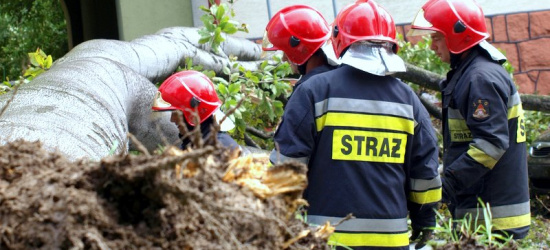 Uszkodzone dachy, połamane drzewa. Strażacy z Podkarpacia walczyli ze skutkami silnych wiatrów