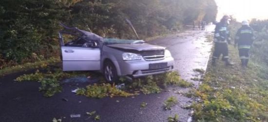 PODKARPACIE: Drzewo spadło na pojazd, nie żyje kierowca (ZDJĘCIA)