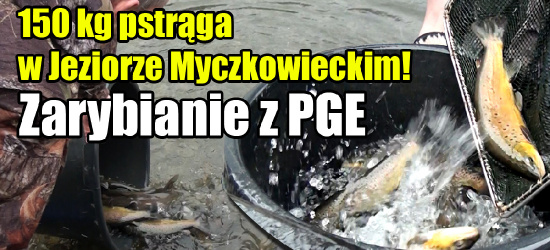 150 kg pstrąga w Jeziorze Myczkowieckim! Zarybianie z PGE (VIDEO, ZDJĘCIA)