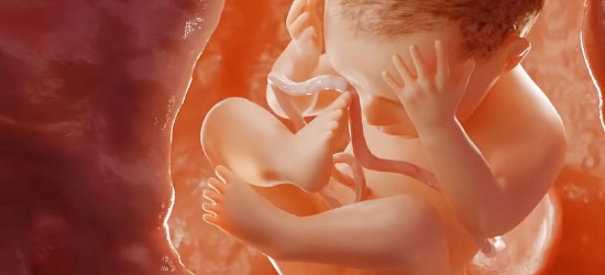 Aborcja nie jest synonimem nowoczesności! Film „Tętno” (VIDEO)