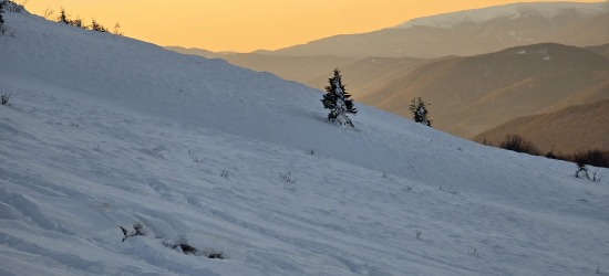 Zima w Bieszczadach nie odpuszcza. Pilny komunikat dla turystów