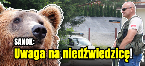 SANOK: Niedźwiedź w Skansenie i na Białej Górze! (FOTO)