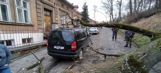 REGION: Drzewo runęło na kamienicę i samochody (FOTO)