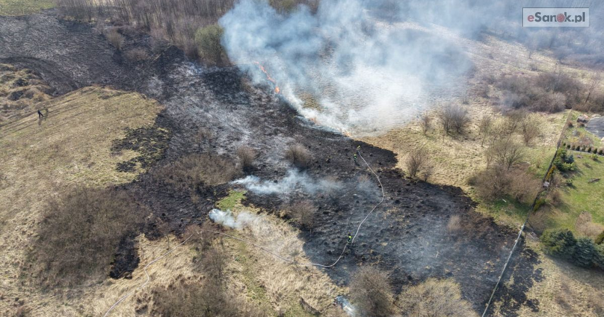 Pożar traw przy obwodnicy. W akcji 5 zastępów straży [ZDJĘCIA Z LOTU PTAKA]