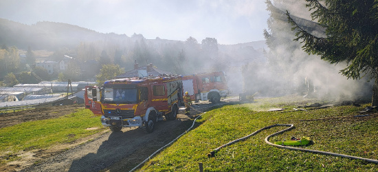 Pożar garażu. Spłonął samochód (ZDJĘCIA)