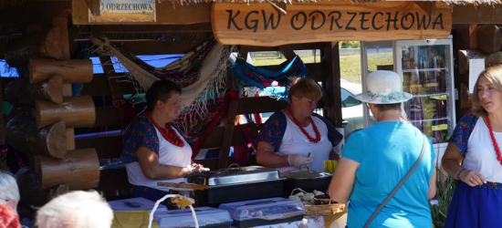 Co króluje na dożynkowych stołach? Koła Gospodyń Wiejskich zdradzają swoje przysmaki [VIDEO]