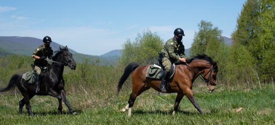 Patrole konne niezawodne na granicy w Bieszczadach!