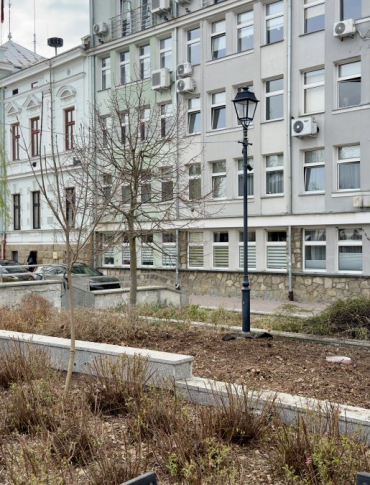 INTERWENCJA: Znikająca zieleń w centrum Sanoka. Co planują władze miasta?