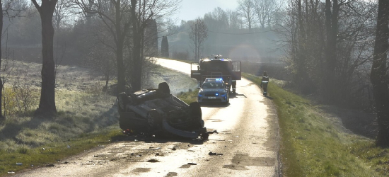 Weekendowa plaga pijanych kierowców. Dachowanie, Ford w rowie i drogowa recydywa