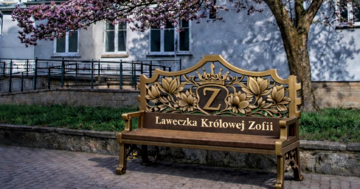 Pod słynną magnolią „Zofią” stanie wyjątkowa ławeczka. Zaprezentowano wizualizację [ZDJĘCIA]
