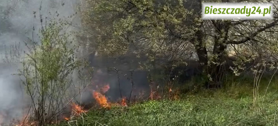 Groźny pożar przy obwodnicy Sanoka. Ogień szybko się rozprzestrzeniał [VIDEO, ZDJĘCIA]