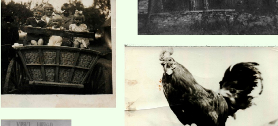 Wyjątkowa wystawa fotografii i wspomnień w Woli Sękowej