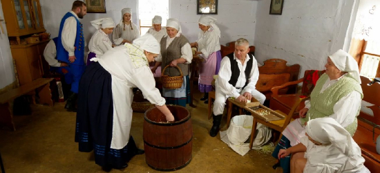 Jak prababki w Strachocinie kapustę kisiły – tradycja w Muzeum Budownictwa Ludowego [VIDEO]