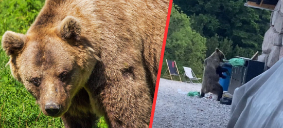 Pilny komunikat straży rybackiej! Ważne zmiany dla wędkarzy i turystów