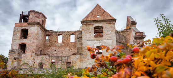 Ruiny Klasztoru Karmelitów Bosych w Zagórzu. Miejsce, gdzie historia wciąż żyje [ZDJĘCIA]