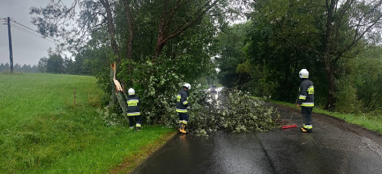 POWIAT BIESZCZADZKI. Strażacy podsumowali skutki ulew. Liczne interwencje i wypadek motocyklisty [FOTO]