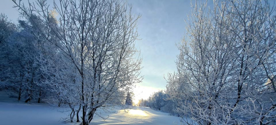 BIESZCZADY: Przyrodniczo-artystyczne czwartki z Bieszczadzkim Parkiem Narodowym