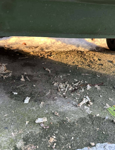 „Kulinarna stołówka” przy ZUS w Brzozowie – DOŚĆ! Stanowczy apel o odpowiedzialność