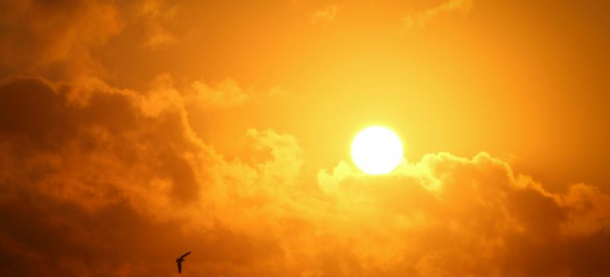 UPAŁ NA PODKARPACIU: IMGW wydało ostrzeżenie pierwszego stopnia