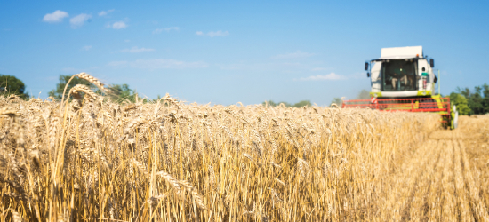 Bezpieczeństwo i zrozumienie podczas żniw. Ważny apel do mieszkańców wsi