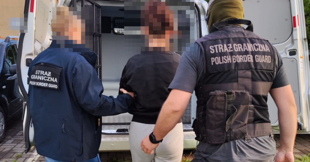 Fikcyjne zatrudnienie przepustką do strefy Schengen. Straż Graniczna rozbiła grupę przestępczą