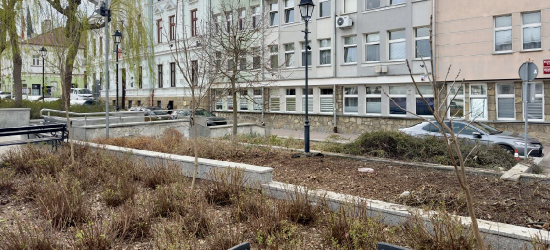 INTERWENCJA: Znikająca zieleń w centrum Sanoka. Co planują władze miasta?